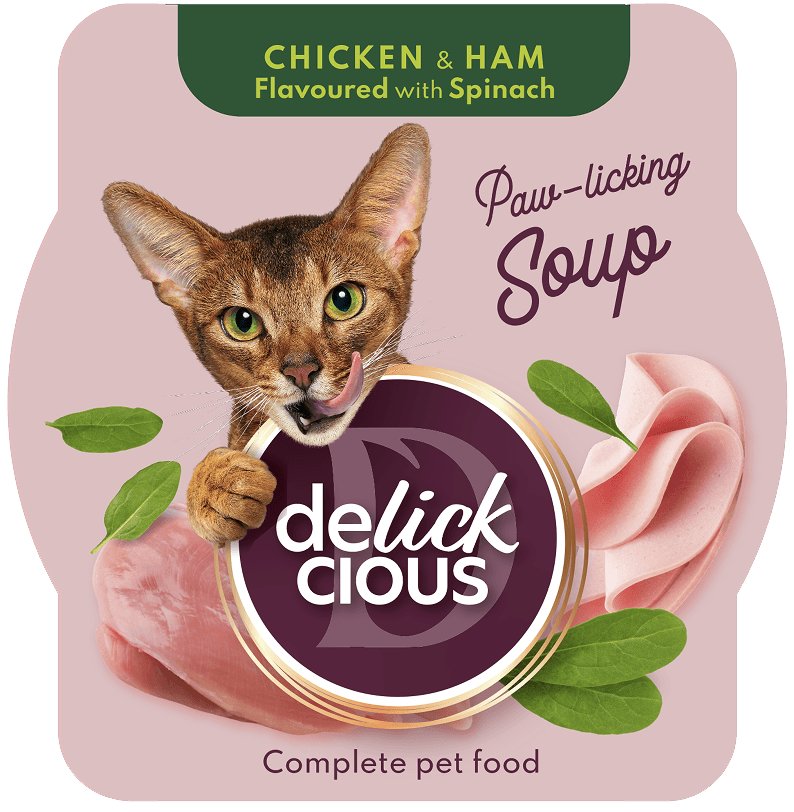 Zupa z kurczakiem z szynką i dodatkiem szpinaku